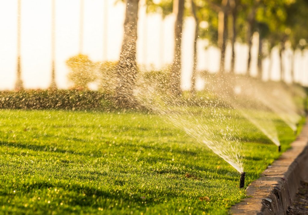 Renton Commercial Sprinkler System 