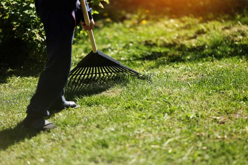 Mulching & Weed Prevention in Renton