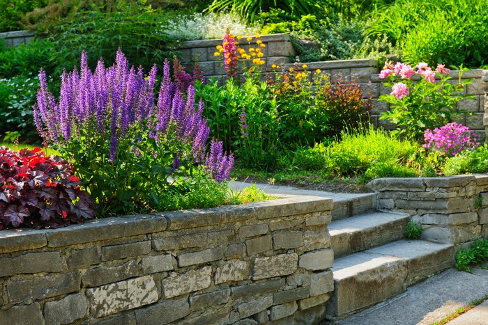 Seasonal Planting in Renton